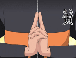 Naruto Tiger Hand Seal